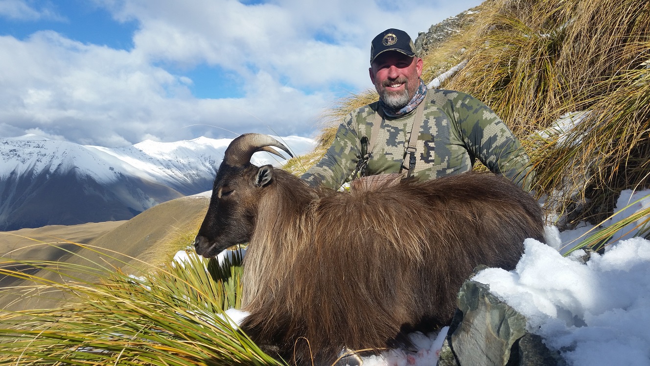 Tahr Chamois Hunting In New Zealand South Island